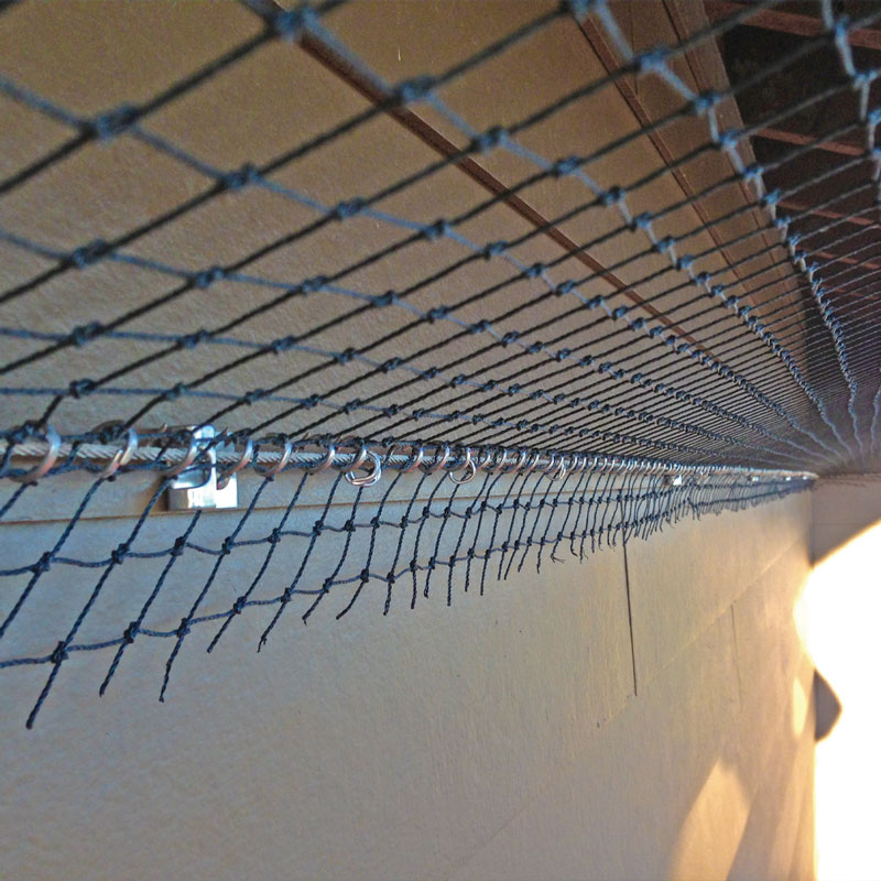 close up picture of a piece of mesh
