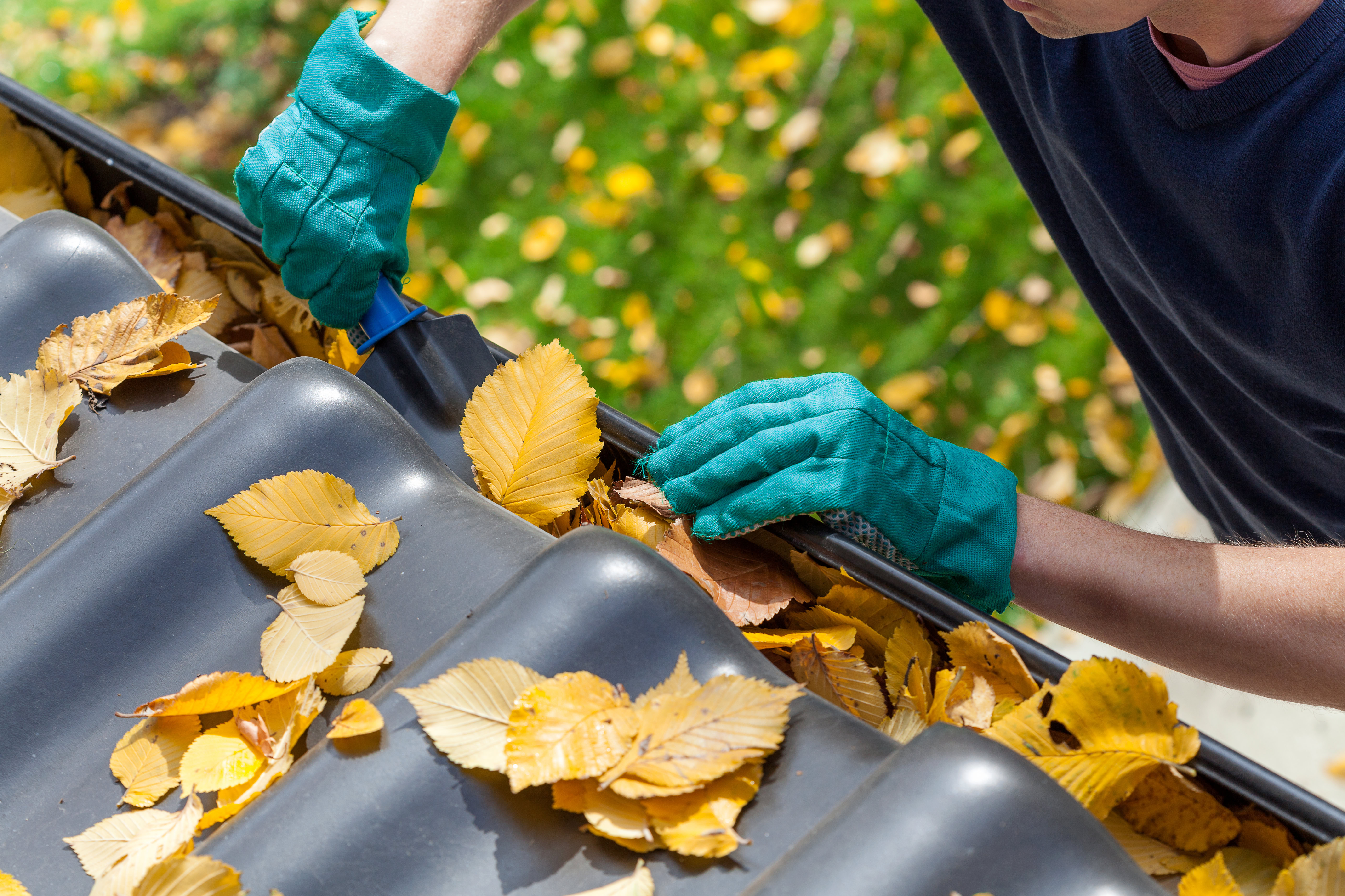 man with gloves on hand clearing out leaves from a gutter