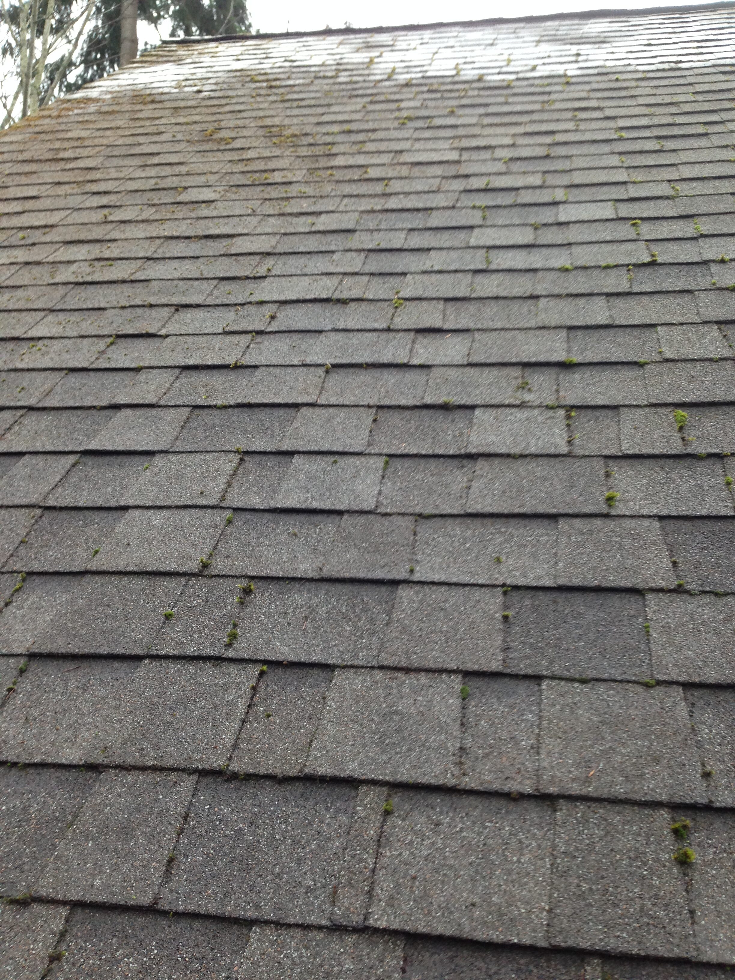 close up shot of a portion of a roof