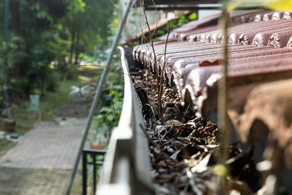 Fall Roof and Gutter Cleaning Guide for WA Homes close up picture of a gutter full of twigs and debris | roof and gutter cleaning